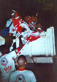 carnaval rio de janeiro 2001