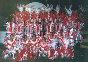 carnaval rio de janeiro 2001