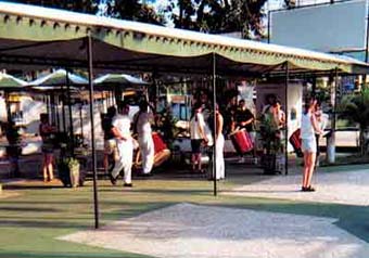 carnaval rio de janeiro 2001